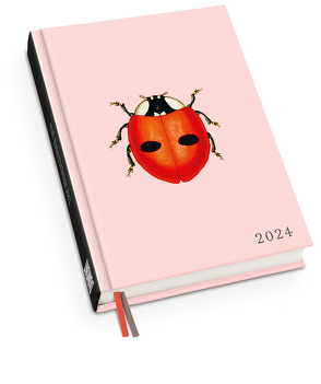 Taschenkalender Marienkäfer 2024 – Von 30×40 – Terminplaner mit Wochenkalendarium – Format 11,3 x 16,3 cm