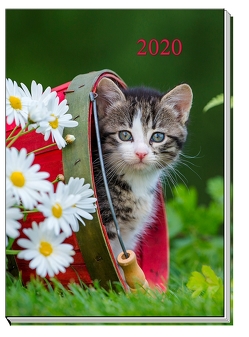 Taschenkalender „Katze“ 2020
