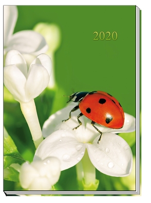 Taschenkalender „Marienkäfer“ 2020
