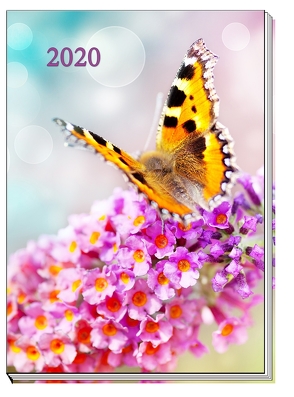 Taschenkalender „Schmetterling“ 2020