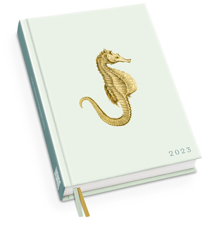 Taschenkalender Seepferdchen 2023 – Von 30×40 – Terminplaner mit Wochenkalendarium – Format 11,3 x 16,3 cm