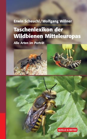 Taschenlexikon der Wildbienen Mitteleuropas von Scheuchl,  Erwin, Willner,  Wolfgang