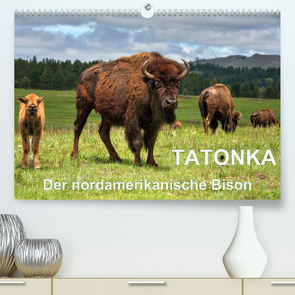 TATONKA Der nordamerikanische Bison (Premium, hochwertiger DIN A2 Wandkalender 2022, Kunstdruck in Hochglanz) von Wilczek,  Dieter-M.