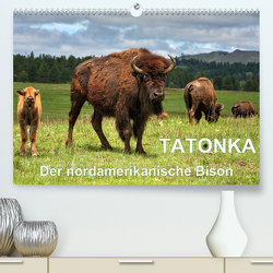 TATONKA Der nordamerikanische Bison (Premium, hochwertiger DIN A2 Wandkalender 2023, Kunstdruck in Hochglanz) von Wilczek,  Dieter