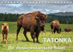 TATONKA Der nordamerikanische Bison (Tischkalender 2022 DIN A5 quer) von Wilczek,  Dieter-M.