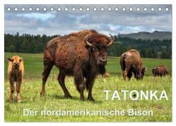 TATONKA Der nordamerikanische Bison (Tischkalender 2024 DIN A5 quer), CALVENDO Monatskalender von Wilczek,  Dieter