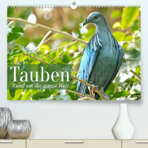 Tauben der ganzen Welt (Premium, hochwertiger DIN A2 Wandkalender 2022, Kunstdruck in Hochglanz) von CALVENDO