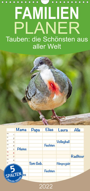 Familienplaner Tauben: die Schönsten aus aller Welt (Wandkalender 2022 , 21 cm x 45 cm, hoch) von CALVENDO
