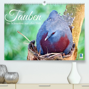 Tauben: die Schönsten aus aller Welt (Premium, hochwertiger DIN A2 Wandkalender 2022, Kunstdruck in Hochglanz) von CALVENDO