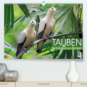 Tauben: die Schönsten aus aller Welt (Premium, hochwertiger DIN A2 Wandkalender 2023, Kunstdruck in Hochglanz) von CALVENDO