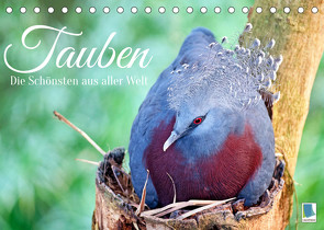 Tauben: die Schönsten aus aller Welt (Tischkalender 2022 DIN A5 quer) von CALVENDO