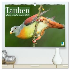 Tauben rund um die ganze Welt (hochwertiger Premium Wandkalender 2024 DIN A2 quer), Kunstdruck in Hochglanz von CALVENDO,  CALVENDO