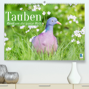 Tauben rund um die ganze Welt (Premium, hochwertiger DIN A2 Wandkalender 2023, Kunstdruck in Hochglanz) von CALVENDO