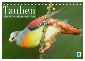 Tauben rund um die ganze Welt (Tischkalender 2024 DIN A5 quer), CALVENDO Monatskalender von CALVENDO,  CALVENDO