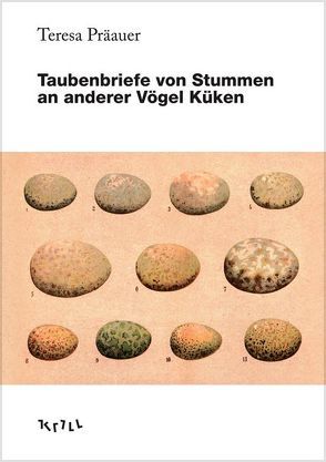 Taubenbriefe von Stummen an anderer Vögel Küken von Präauer,  Teresa