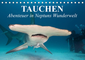 Tauchen – Abenteuer in Neptuns Wunderwelt (Tischkalender 2023 DIN A5 quer) von Stanzer,  Elisabeth