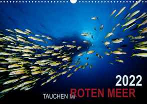 Tauchen im Roten Meer 2022 (Wandkalender 2022 DIN A3 quer) von Strozynski,  Bartosz