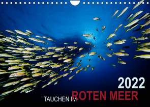 Tauchen im Roten Meer 2022 (Wandkalender 2022 DIN A4 quer) von Strozynski,  Bartosz