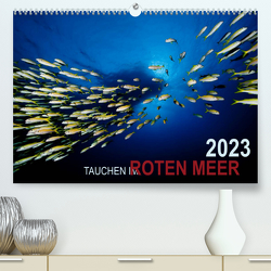 Tauchen im Roten Meer 2023 (Premium, hochwertiger DIN A2 Wandkalender 2023, Kunstdruck in Hochglanz) von Strozynski,  Bartosz