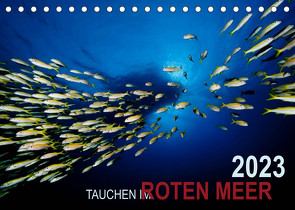 Tauchen im Roten Meer 2023 (Tischkalender 2023 DIN A5 quer) von Strozynski,  Bartosz