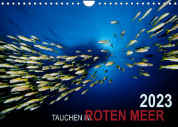 Tauchen im Roten Meer 2023 (Wandkalender 2023 DIN A4 quer) von Strozynski,  Bartosz
