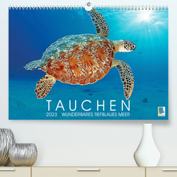 Tauchen: Wunderbares tiefblaues Meer (Premium, hochwertiger DIN A2 Wandkalender 2023, Kunstdruck in Hochglanz) von CALVENDO