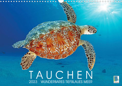 Tauchen: Wunderbares tiefblaues Meer (Wandkalender 2023 DIN A3 quer) von CALVENDO
