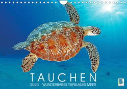Tauchen: Wunderbares tiefblaues Meer (Wandkalender 2023 DIN A4 quer) von CALVENDO