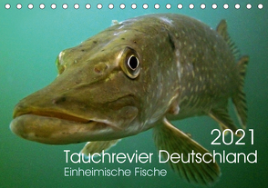 Tauchrevier Deutschland (Tischkalender 2021 DIN A5 quer) von Merkel - Tauchrevier Deutschland,  Mario