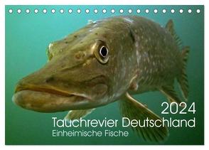 Tauchrevier Deutschland (Tischkalender 2024 DIN A5 quer), CALVENDO Monatskalender von Merkel - Tauchrevier Deutschland,  Mario