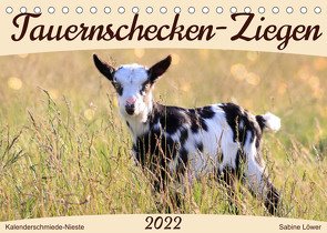 Tauernschecken-Ziegen (Tischkalender 2022 DIN A5 quer) von Löwer,  Sabine