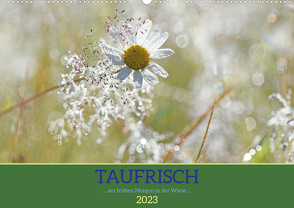 Taufrisch … am frühen Morgen in der Wiese (Wandkalender 2023 DIN A2 quer) von GUGIGEI