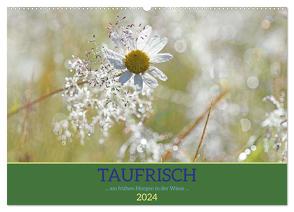 Taufrisch … am frühen Morgen in der Wiese (Wandkalender 2024 DIN A2 quer), CALVENDO Monatskalender von GUGIGEI,  GUGIGEI