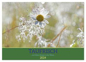 Taufrisch … am frühen Morgen in der Wiese (Wandkalender 2024 DIN A3 quer), CALVENDO Monatskalender von GUGIGEI,  GUGIGEI