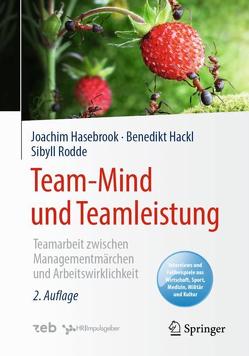 Team-Mind und Teamleistung von Hackl,  Benedikt, Hasebrook,  Joachim, Rodde,  Sibyll