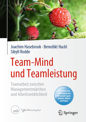 Team-Mind und Teamleistung von Hackl,  Benedikt, Hasebrook,  Joachim, Rodde,  Sibyll
