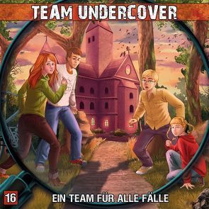 Team Undercover 16: Ein Team für alle Fälle von Piasecki,  Christoph, Topf,  Markus