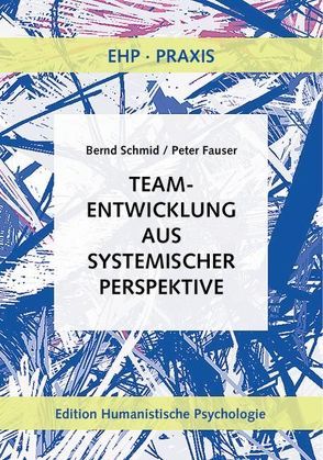 Teamentwicklung aus systemischer Perspektive von Fauser,  Peter, Schmid,  Bernd