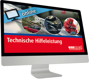 Technische Hilfeleistung (THL) online von Buchold,  Christian