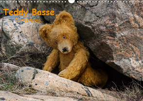 Teddy Basse, Fortsetzung… (Wandkalender 2021 DIN A3 quer) von Rosin,  Dirk
