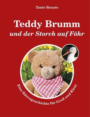 Teddy Brumm und der Storch auf Föhr von Bickel,  Harald, Sieck,  Renate