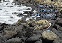 Teddy in … / Teddy als Beobachter auf Galapagos von Merkelbach,  Helga