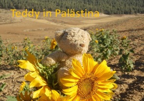 Teddy in … / Teddy in Palästina von Ehrlicher,  Sarah