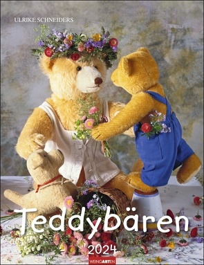 Teddybären Kalender 2024 von Gisela Hofmann,  Ulrike Schneiders