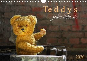 Teddys…jeder liebt sie (Wandkalender 2020 DIN A4 quer) von SchnelleWelten