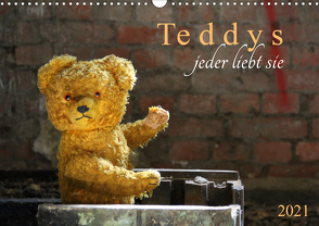 Teddys…jeder liebt sie (Wandkalender 2021 DIN A3 quer) von SchnelleWelten