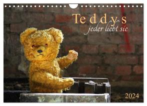 Teddys…jeder liebt sie (Wandkalender 2024 DIN A4 quer), CALVENDO Monatskalender von SchnelleWelten,  SchnelleWelten