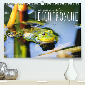 Teichfrösche (Premium, hochwertiger DIN A2 Wandkalender 2023, Kunstdruck in Hochglanz) von Löwer,  Sabine