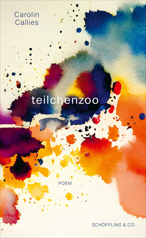 teilchenzoo von Callies,  Carolin