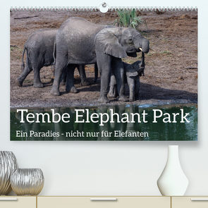 Tembe Elephant Park. Ein Paradies – nicht nur für Elefanten (Premium, hochwertiger DIN A2 Wandkalender 2024, Kunstdruck in Hochglanz) von rsiemer